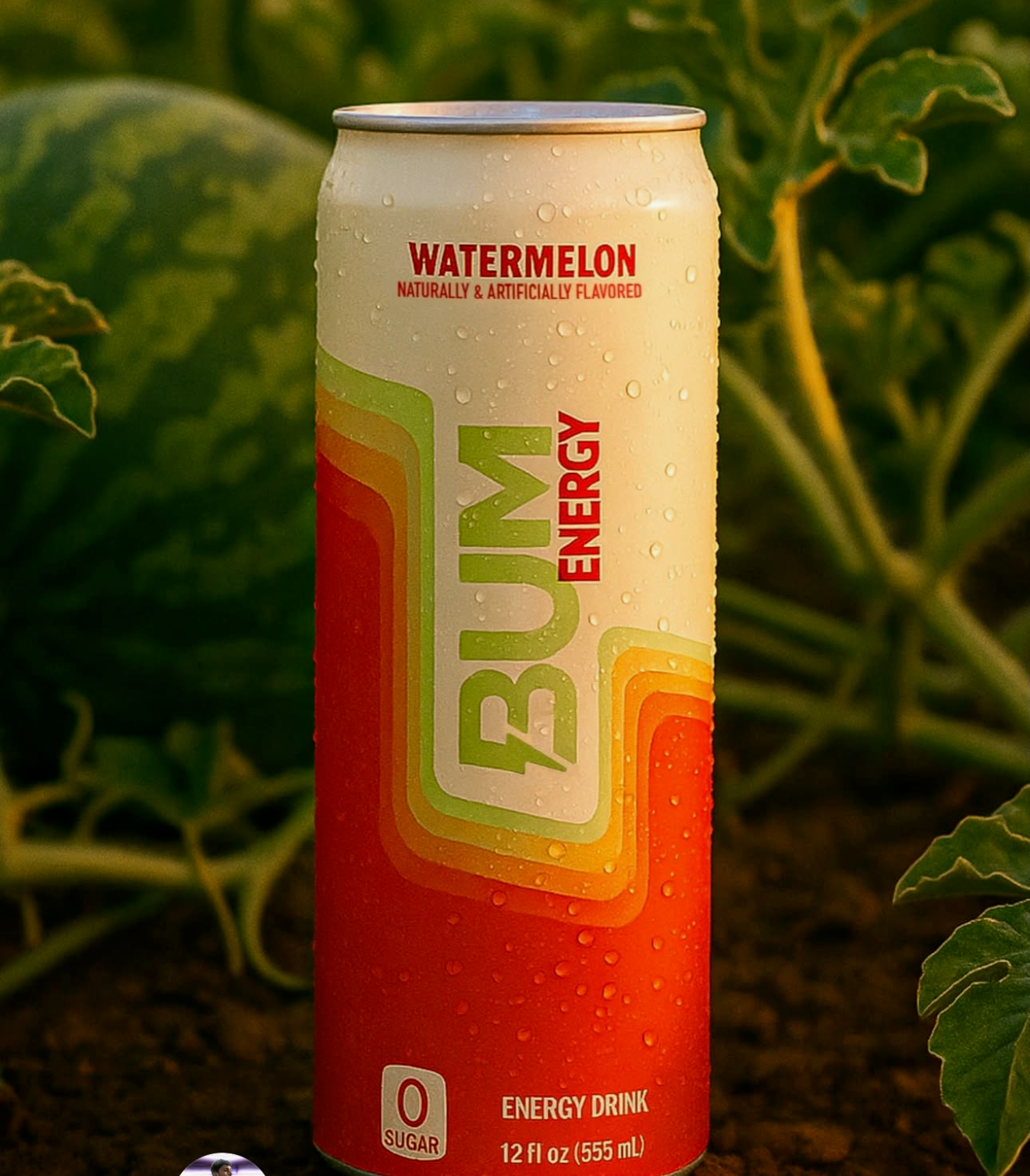 Bum Energy Drink - Case of 12 Cans