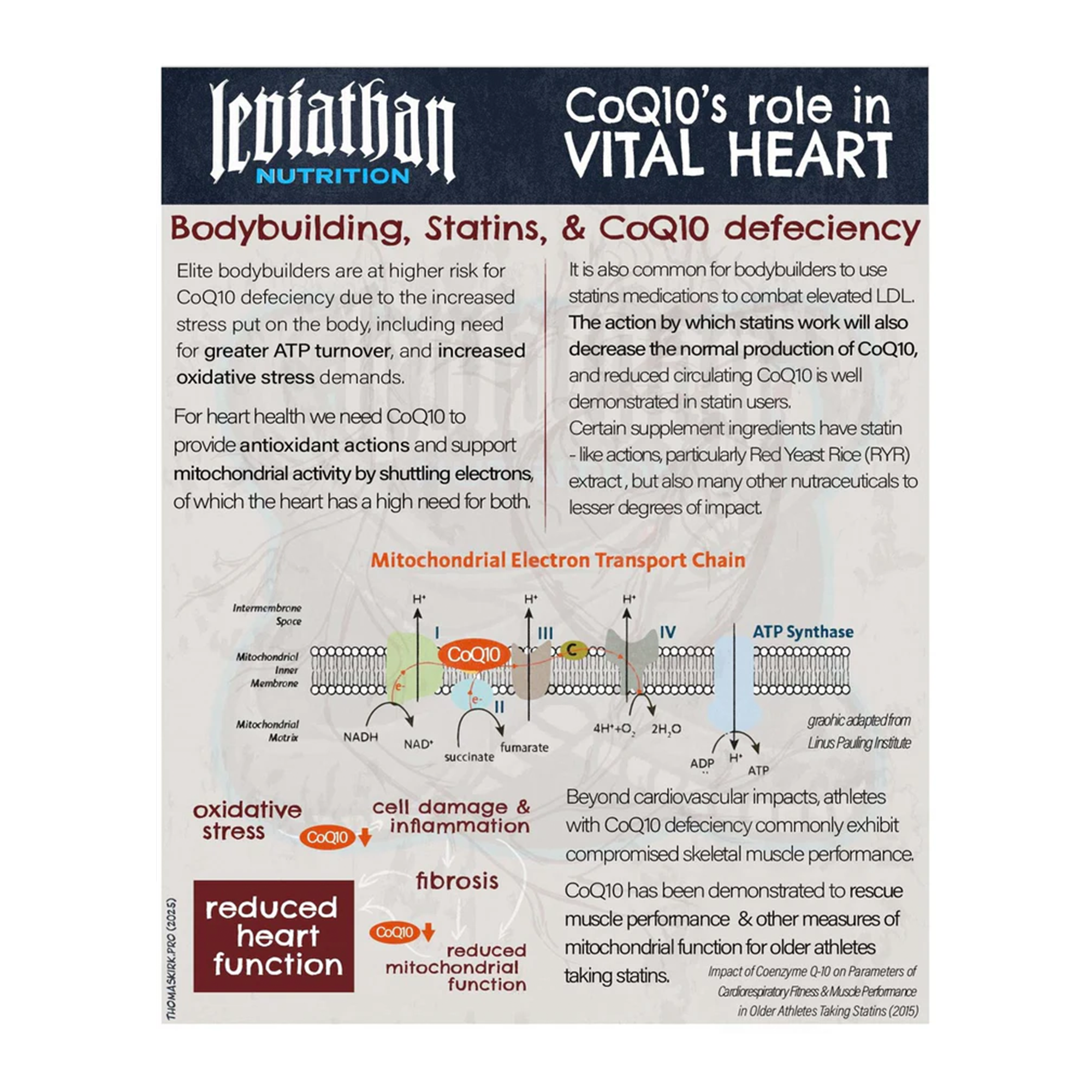 Leviathan Nutrition Vital Heart