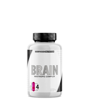 Morphogen Nutrition Brain
