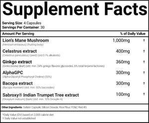 Morphogen Nutrition Brain